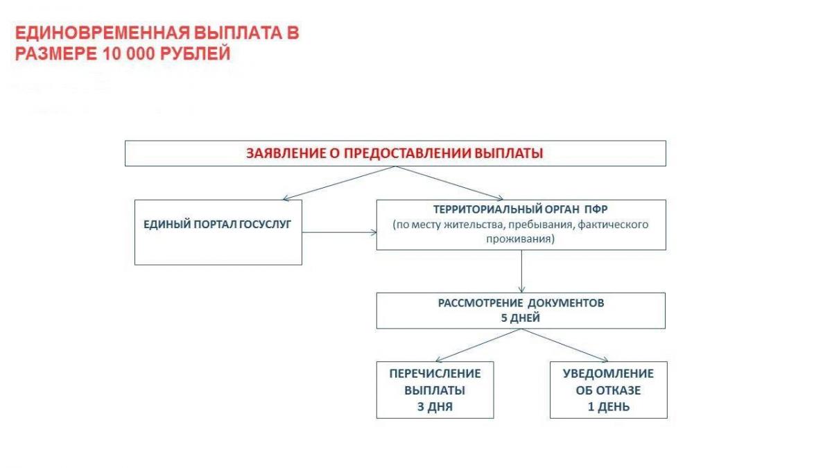 Социальные выплаты | Администрация городского округа Люберцы Московской  области